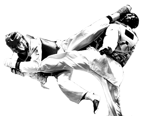 TAEKWONDO